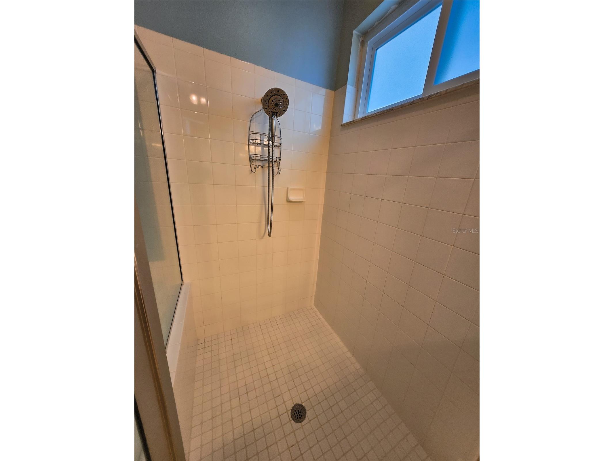 10118 Cannon Drive Riverview FL 33578 TB8451908 image50