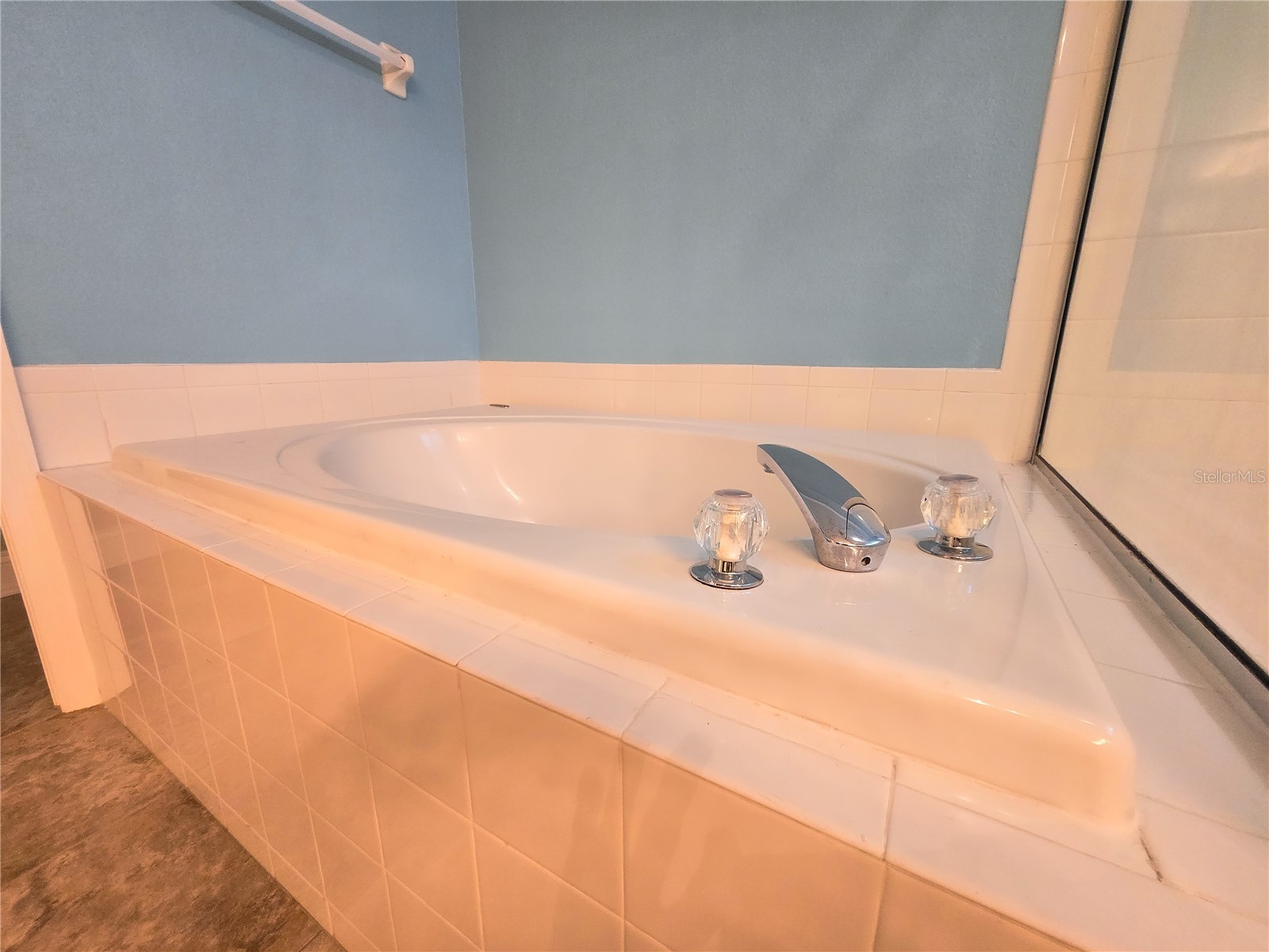 10118 Cannon Drive Riverview FL 33578 TB8451908 image51