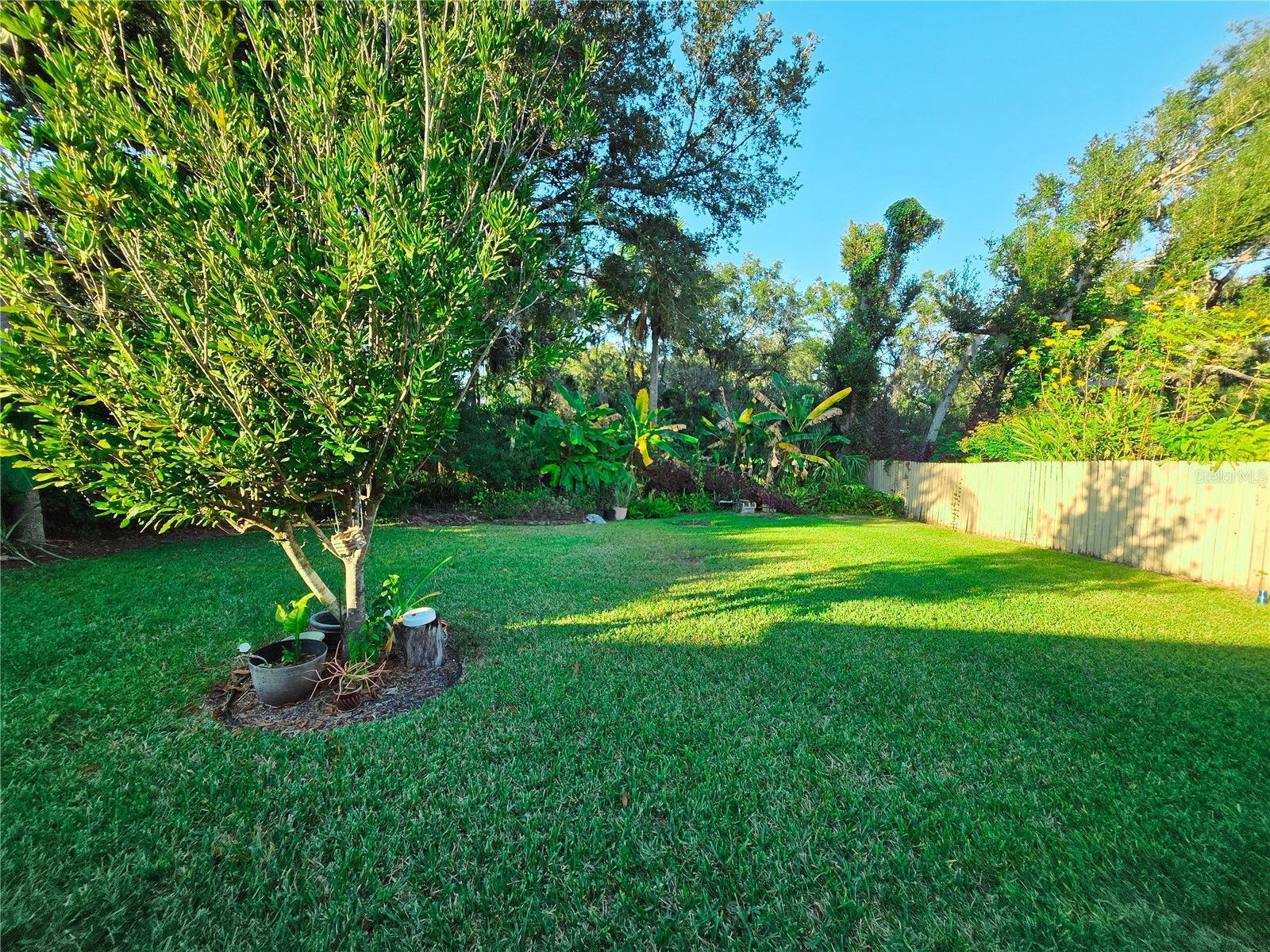 10118 Cannon Drive Riverview FL 33578 TB8451908 image63