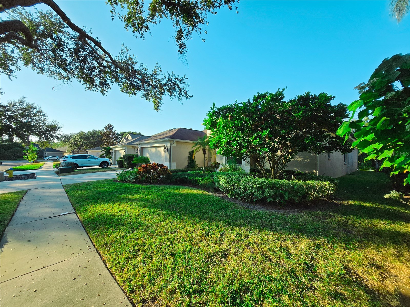 10118 Cannon Drive Riverview FL 33578 TB8451908 image70