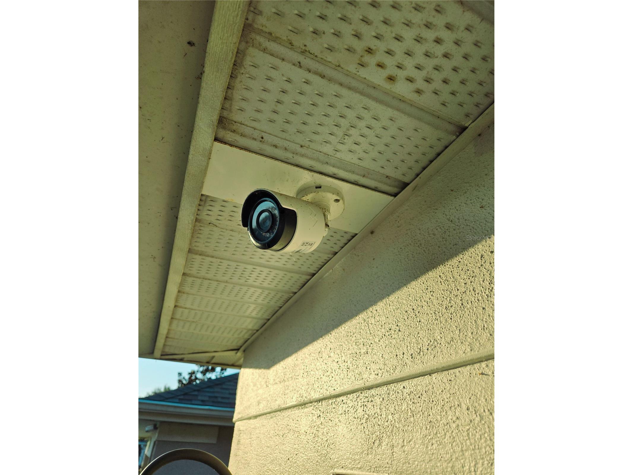 10118 Cannon Drive Riverview FL 33578 TB8451908 image73