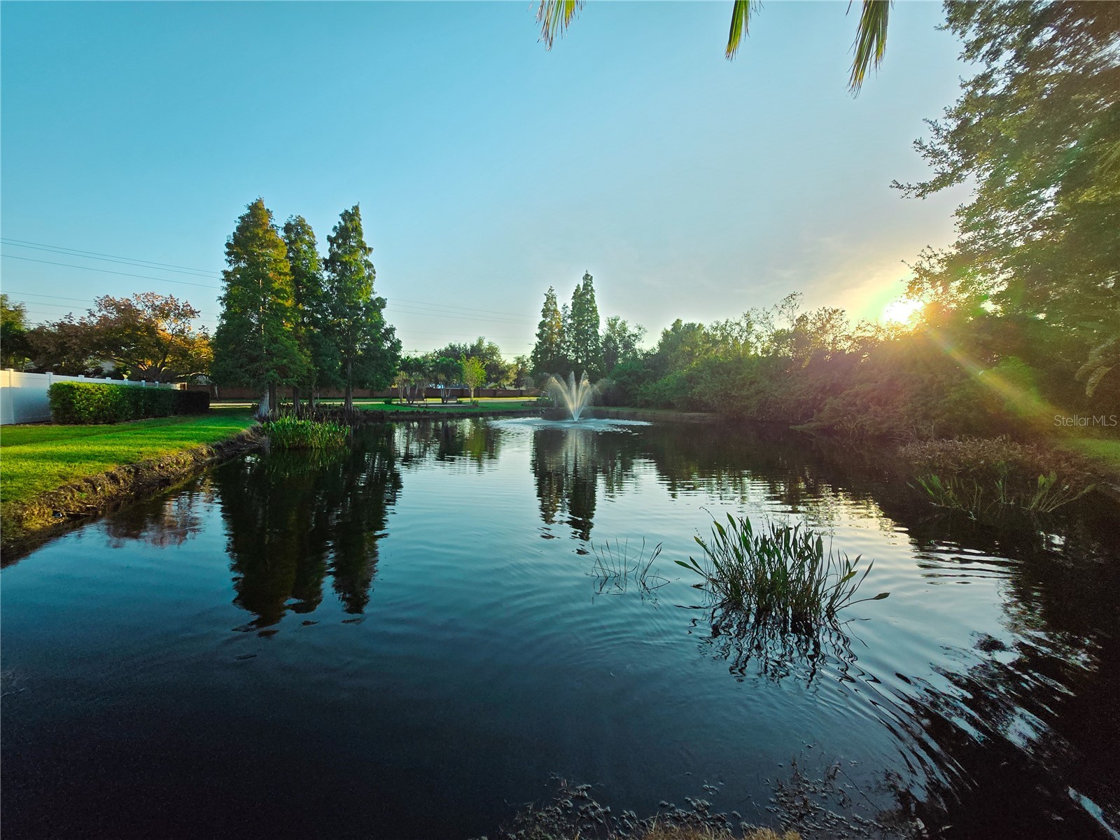 10118 Cannon Drive Riverview FL 33578 TB8451908 image74