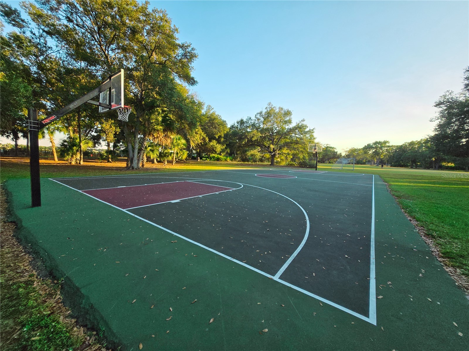 10118 Cannon Drive Riverview FL 33578 TB8451908 image75