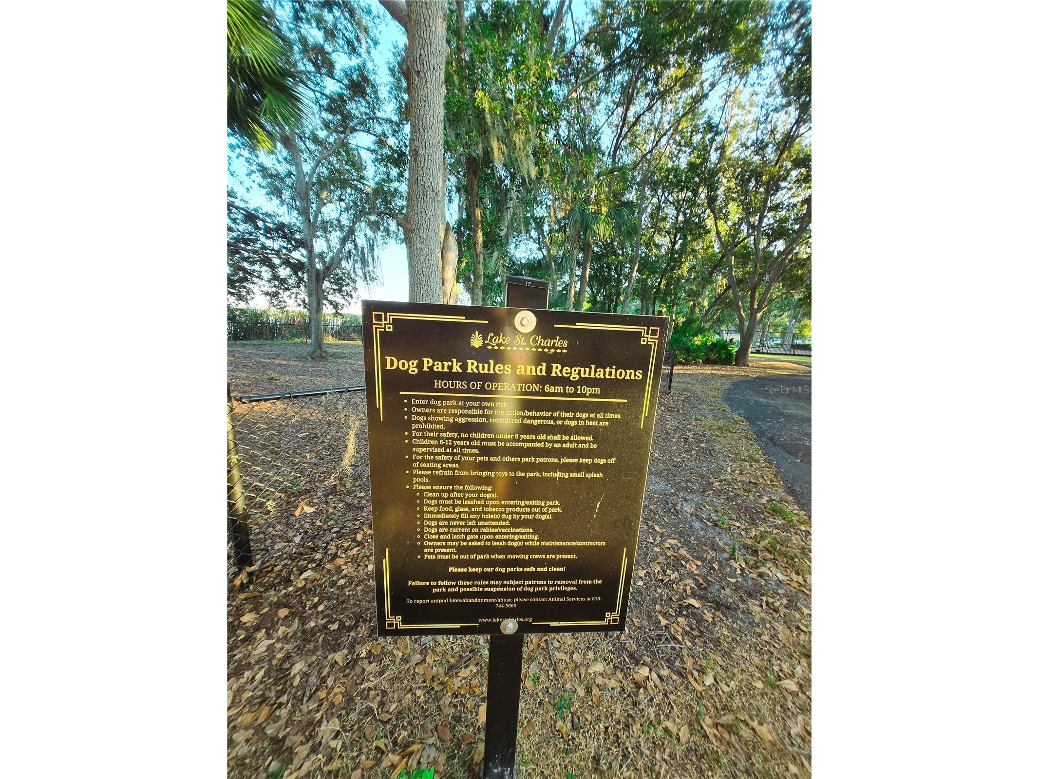 10118 Cannon Drive Riverview FL 33578 TB8451908 image77