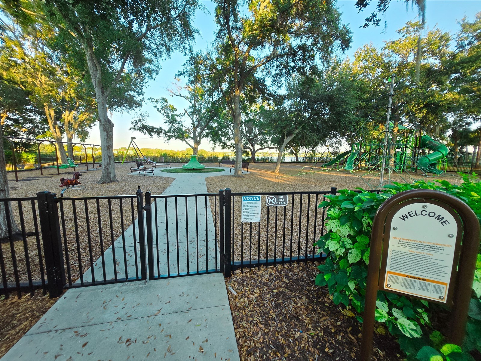 10118 Cannon Drive Riverview FL 33578 TB8451908 image81