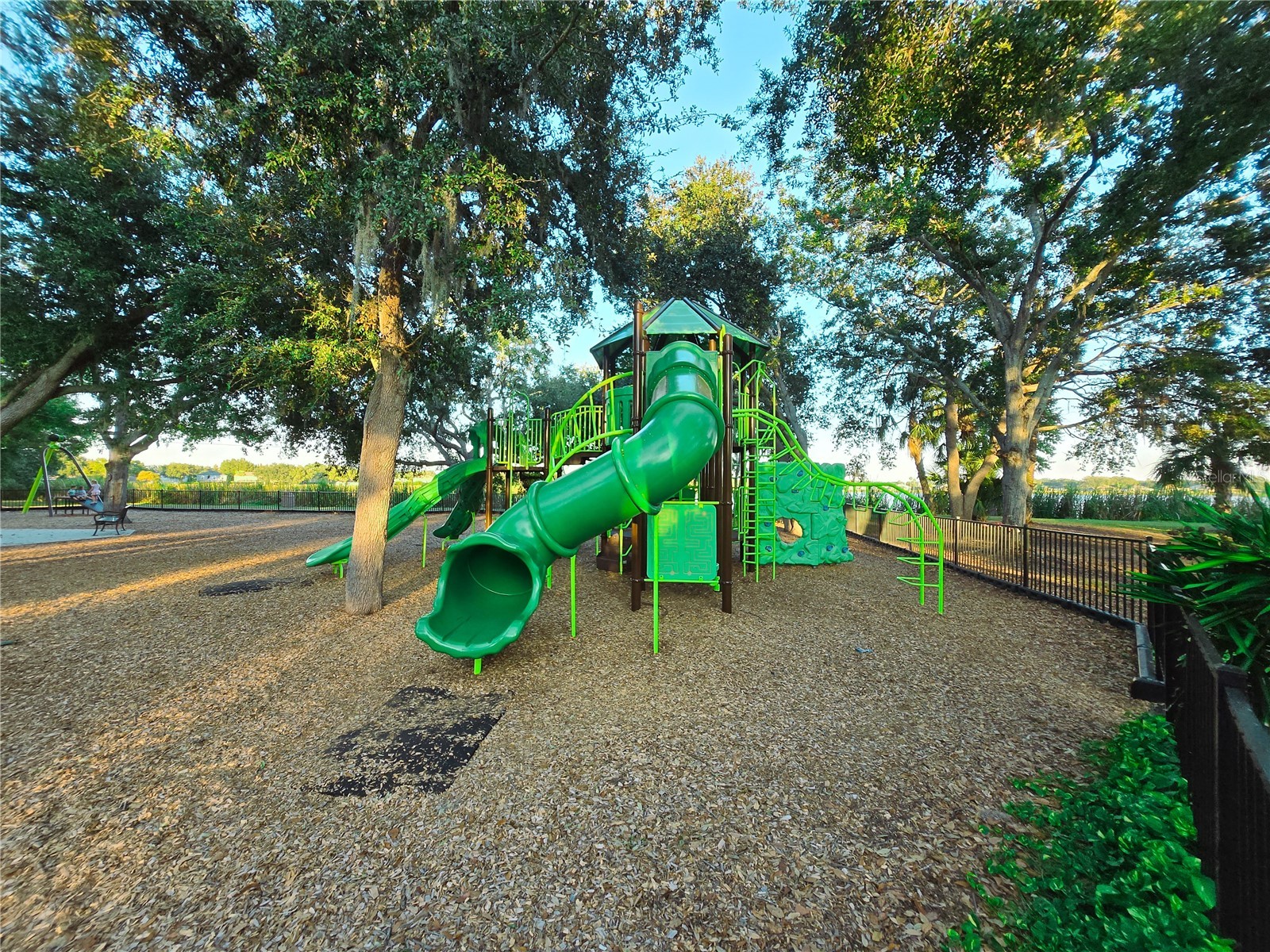 10118 Cannon Drive Riverview FL 33578 TB8451908 image82