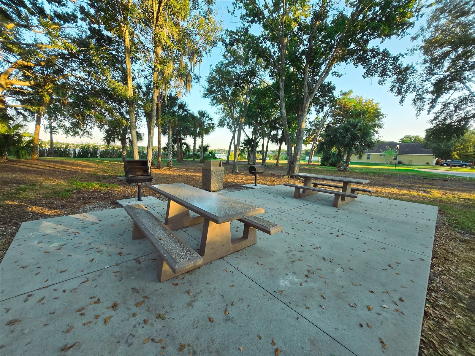 10118 Cannon Drive Riverview FL 33578 TB8451908 image83