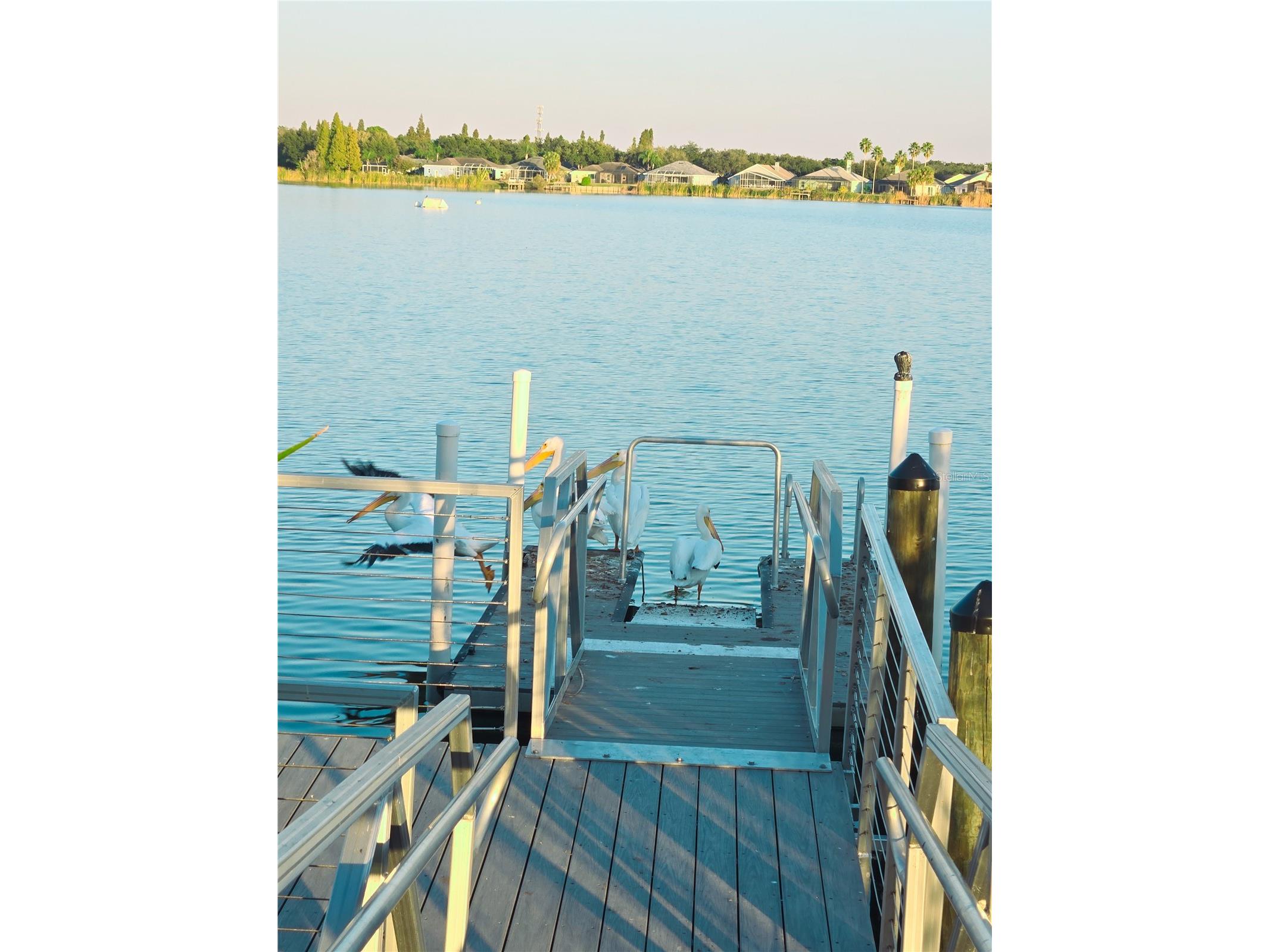 10118 Cannon Drive Riverview FL 33578 TB8451908 image85