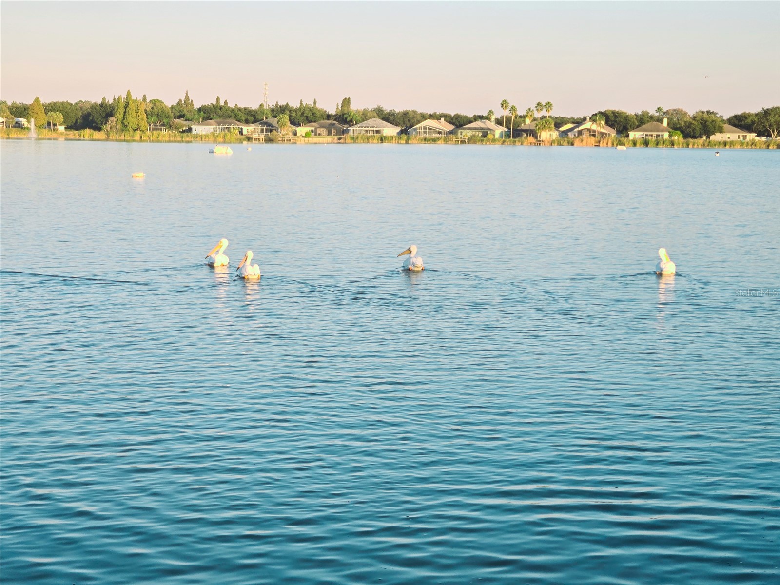 10118 Cannon Drive Riverview FL 33578 TB8451908 image87