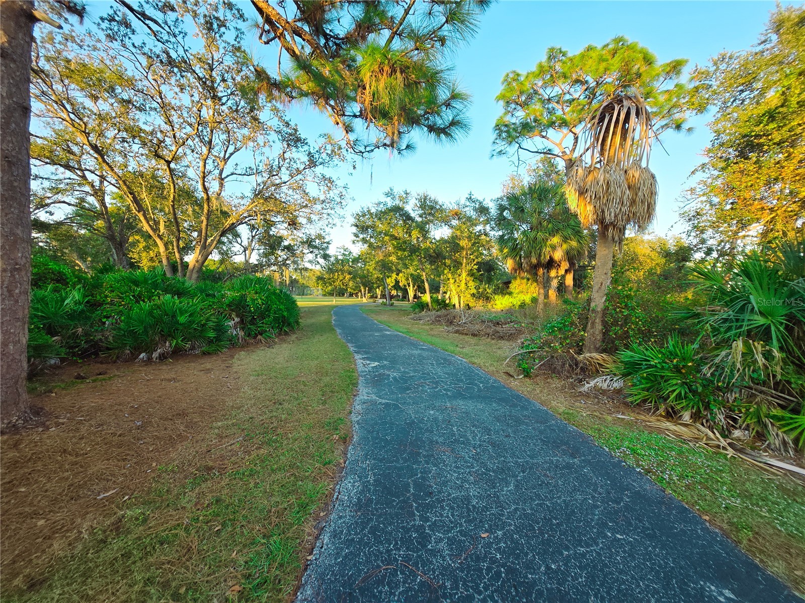 10118 Cannon Drive Riverview FL 33578 TB8451908 image91