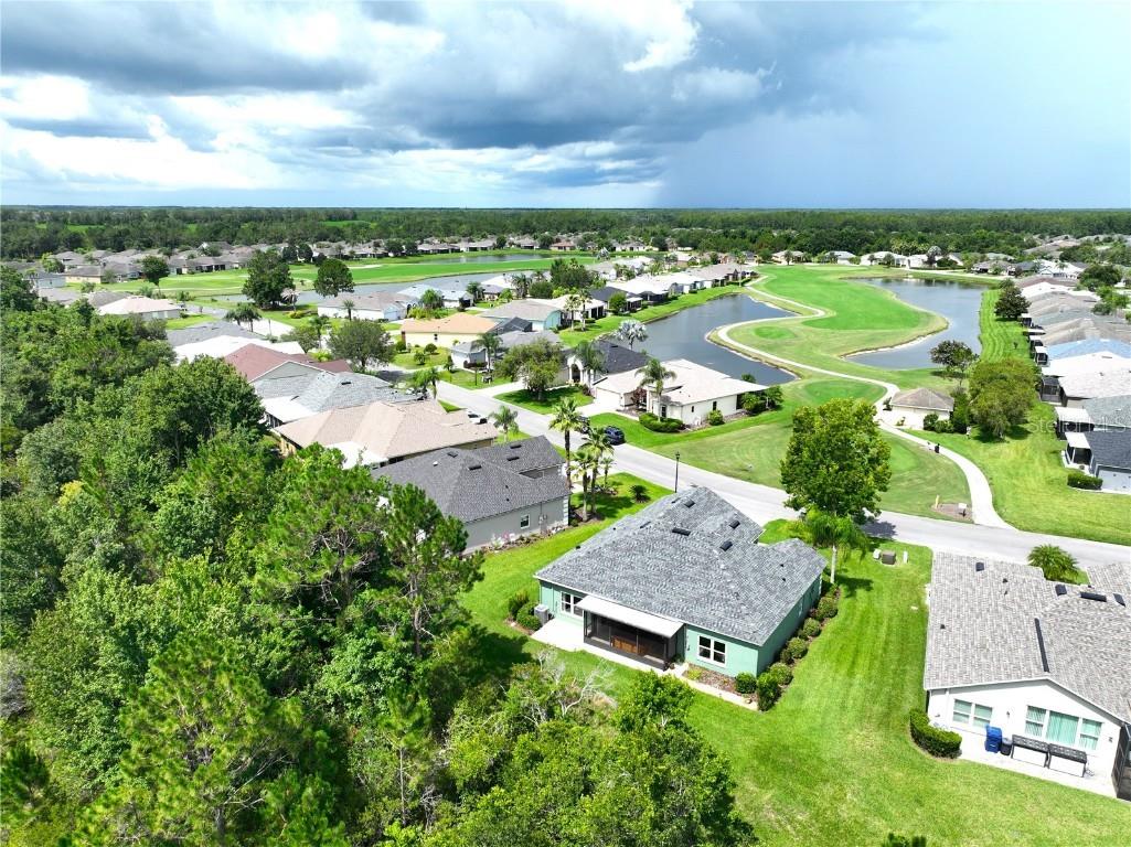 10118 Cleghorn Drive San Antonio FL 33576 TB8369438 image3