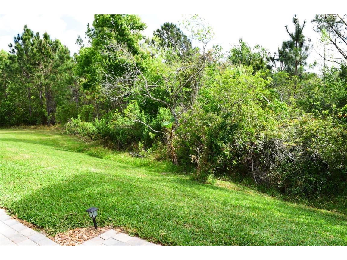 10118 Cleghorn Drive San Antonio FL 33576 TB8369438 image33