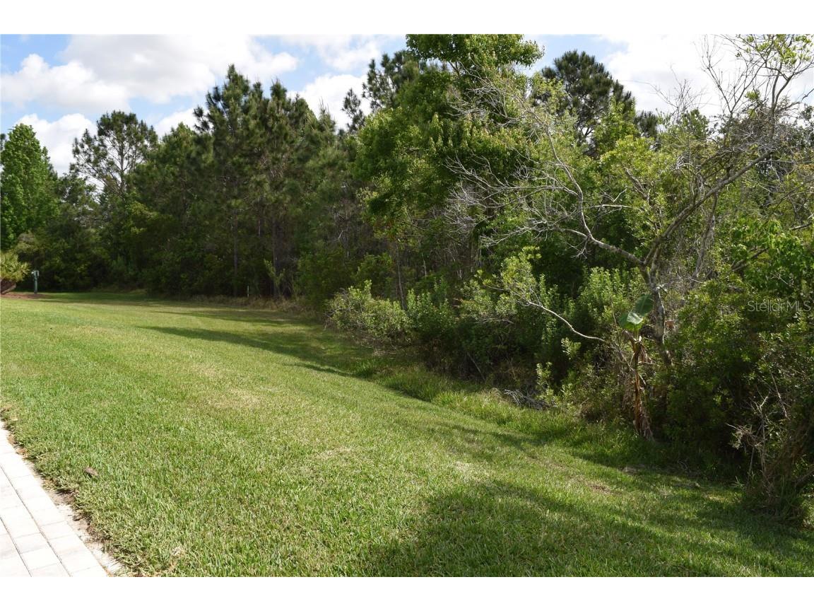 10118 Cleghorn Drive San Antonio FL 33576 TB8369438 image35