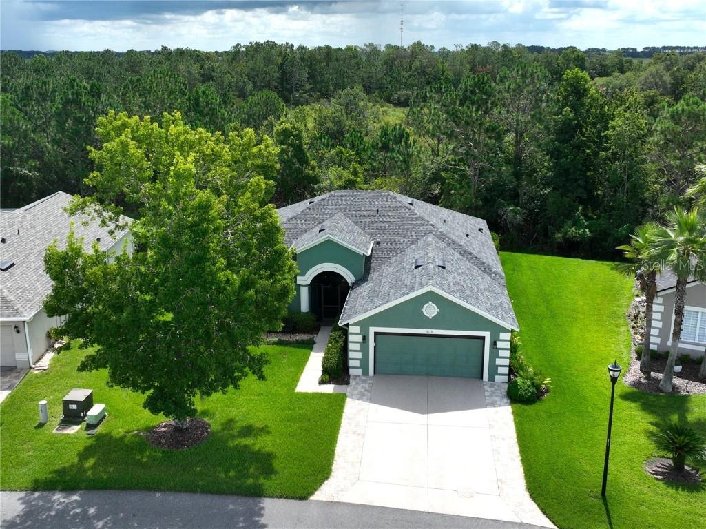 10118 Cleghorn Drive San Antonio FL 33576 TB8369438 image41