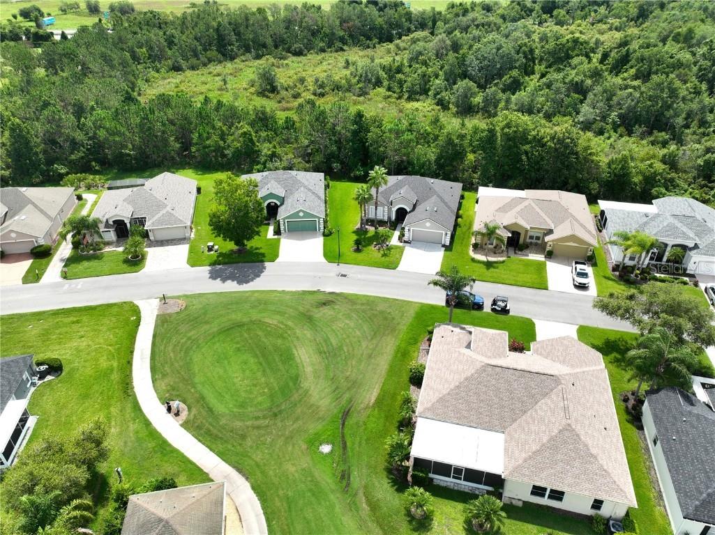 10118 Cleghorn Drive San Antonio FL 33576 TB8369438 image44