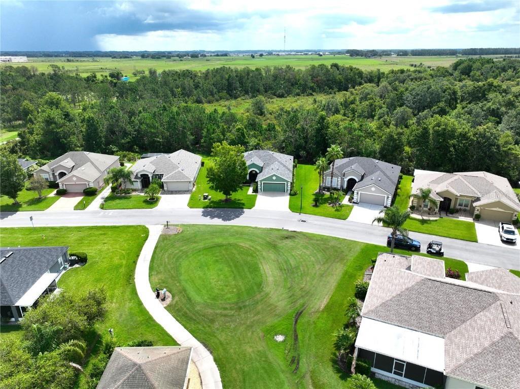 10118 Cleghorn Drive San Antonio FL 33576 TB8369438 image45