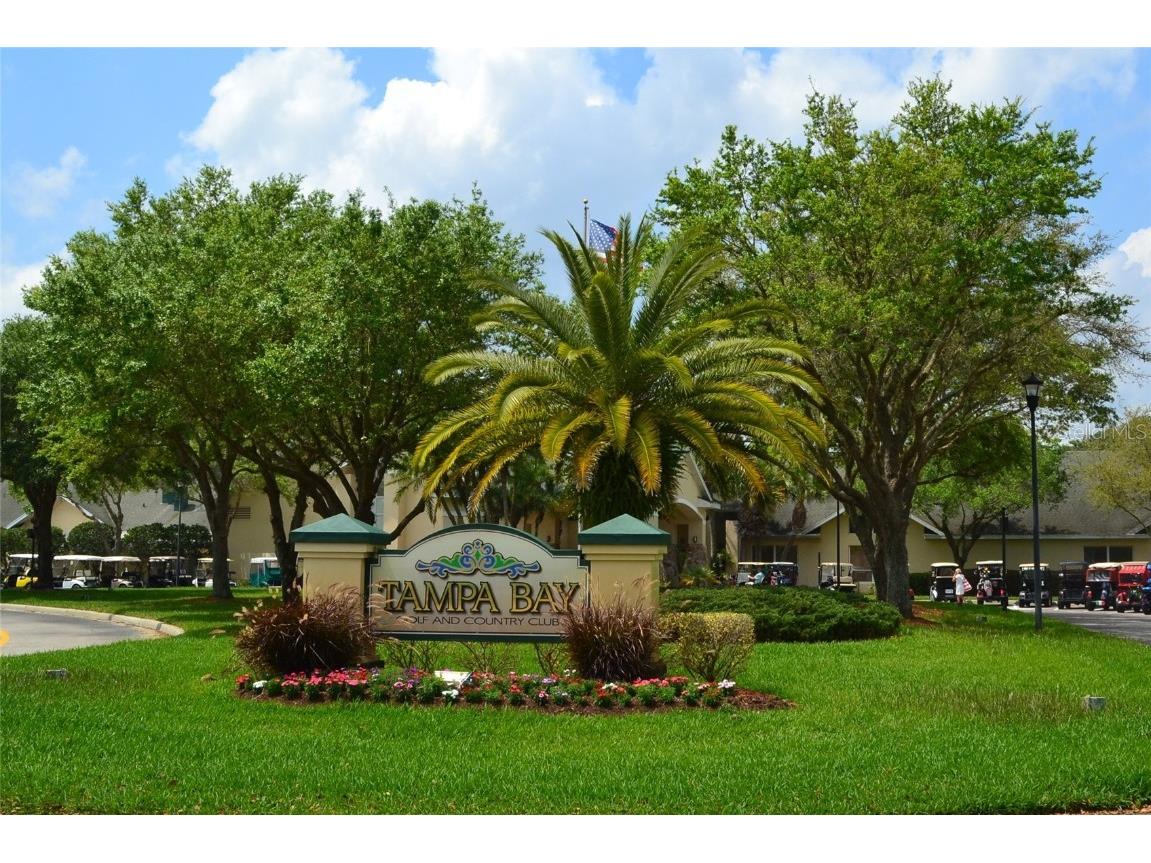 10118 Cleghorn Drive San Antonio FL 33576 TB8369438 image47