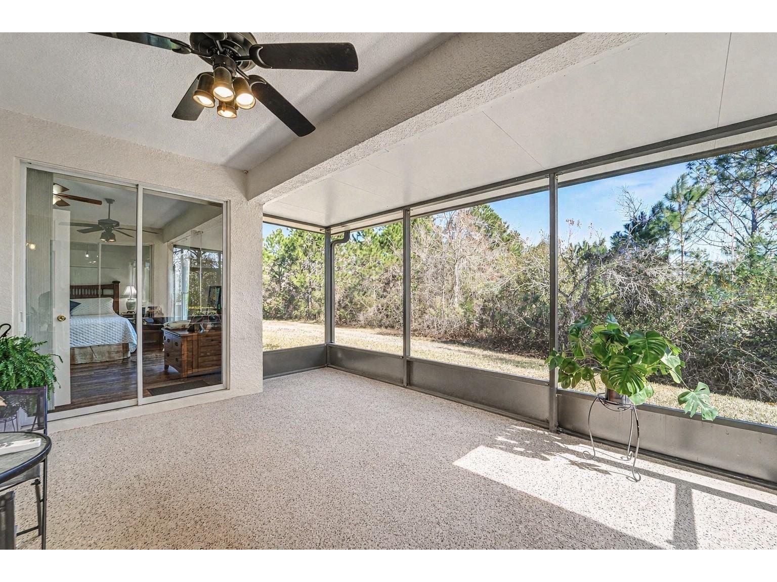 10118 Cleghorn Drive San Antonio FL 33576 TB8471776 image17