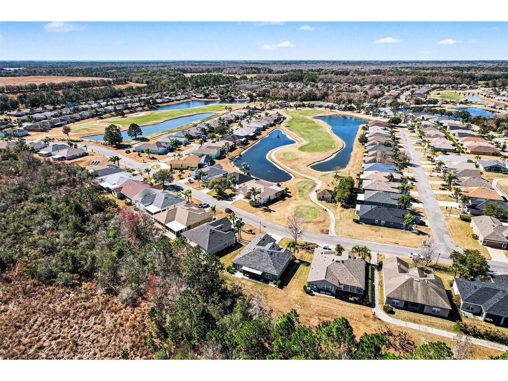 10118 Cleghorn Drive San Antonio FL 33576 TB8471776 image2