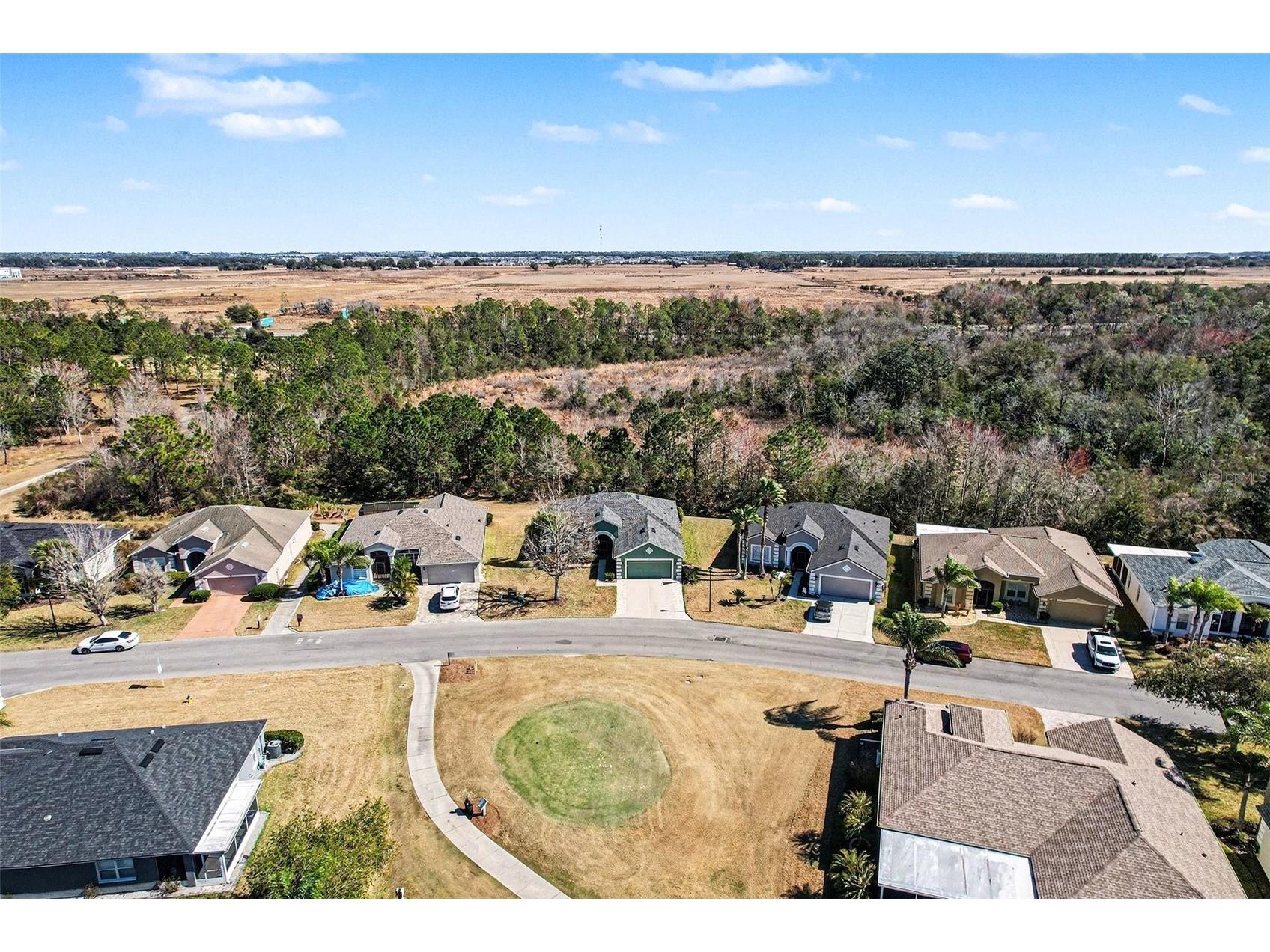 10118 Cleghorn Drive San Antonio FL 33576 TB8471776 image31