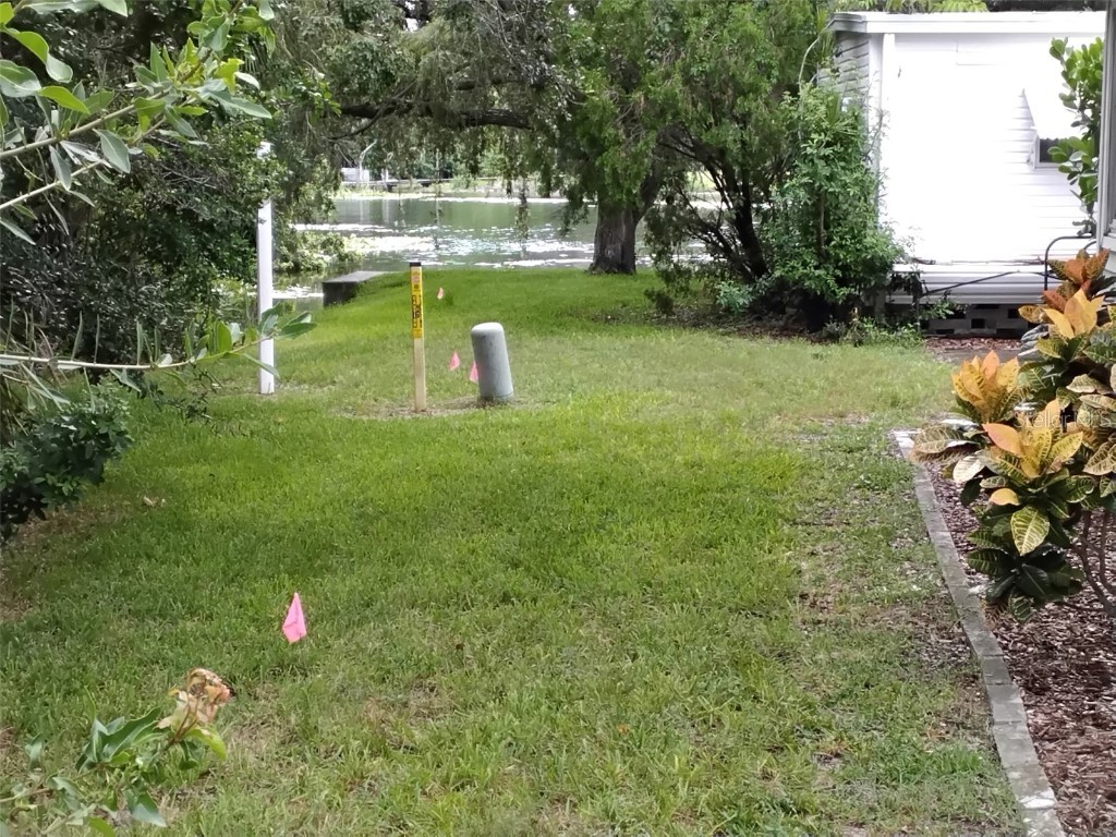 10118 N Lake Drive #30 Largo FL 33773 - LAKE SEMINOLE TB8418837 image16