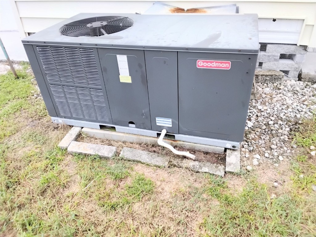 10118 N Lake Drive #30 Largo FL 33773 - LAKE SEMINOLE TB8418837 image17