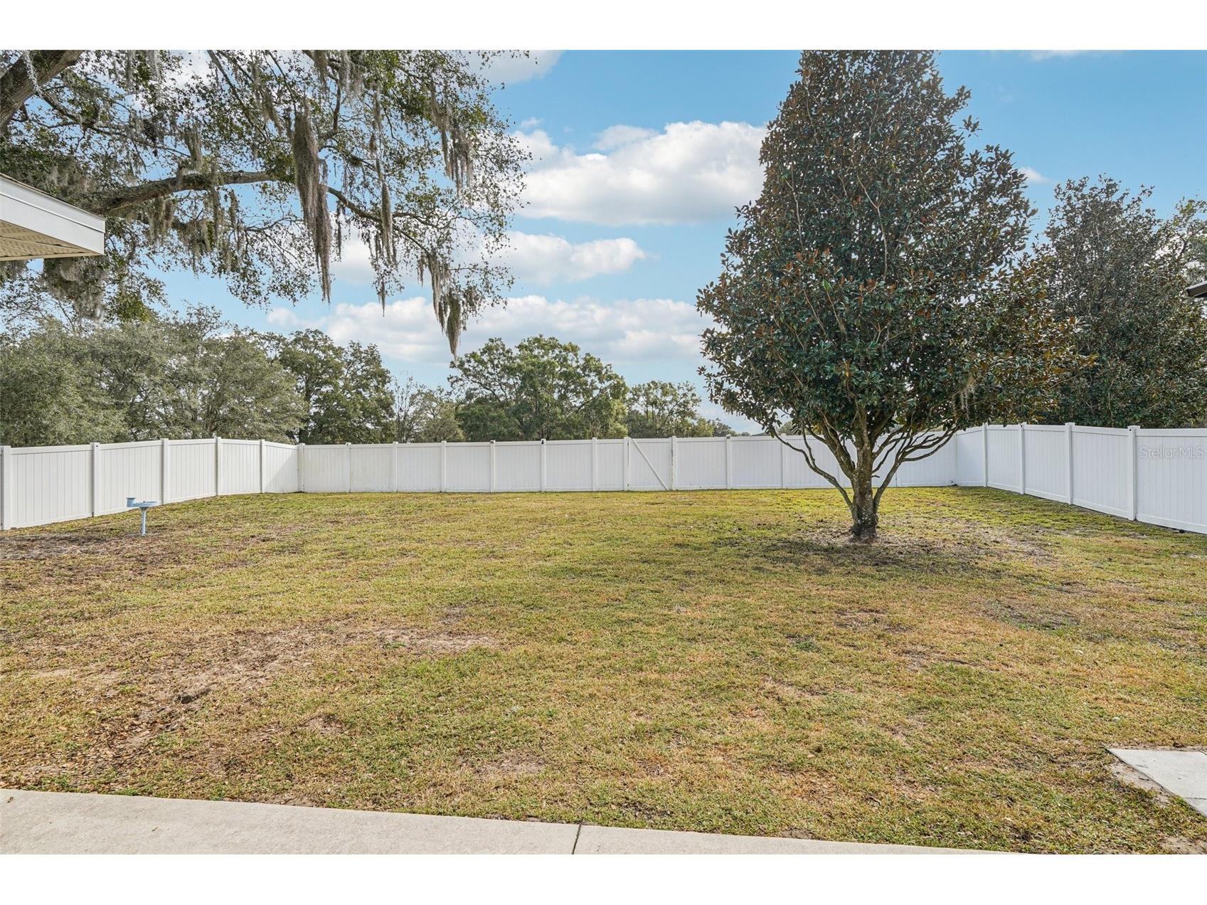 10118 Rockdale Drive Leesburg FL 34788 O6373508 image18