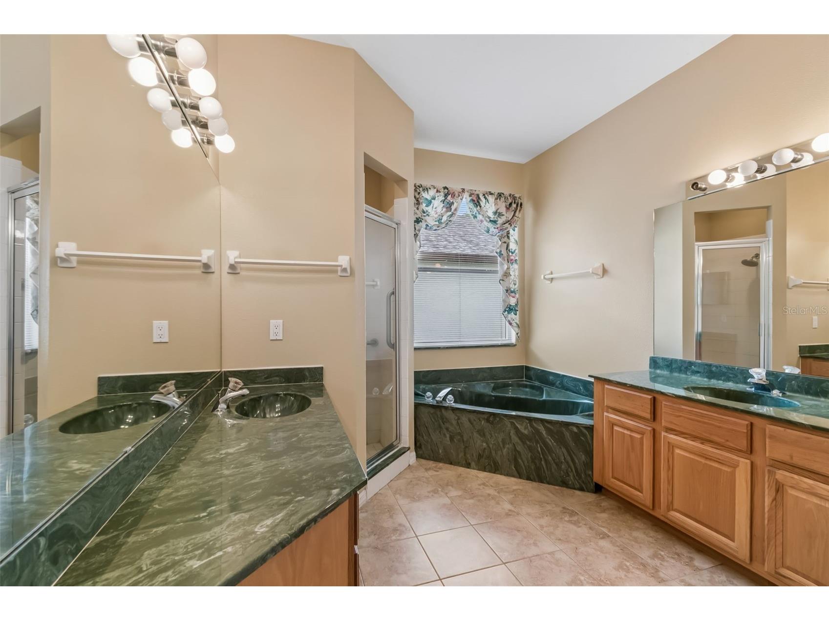 10118 Shortwood Lane Orlando FL 32836 O6393553 image22