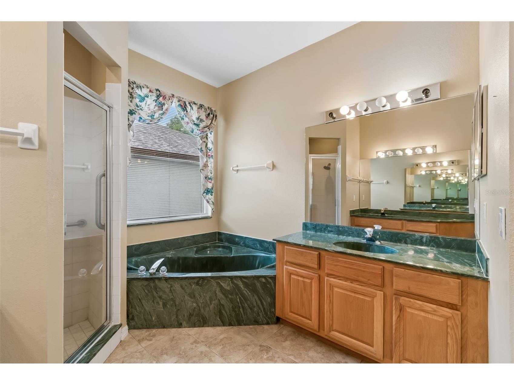 10118 Shortwood Lane Orlando FL 32836 O6393553 image24