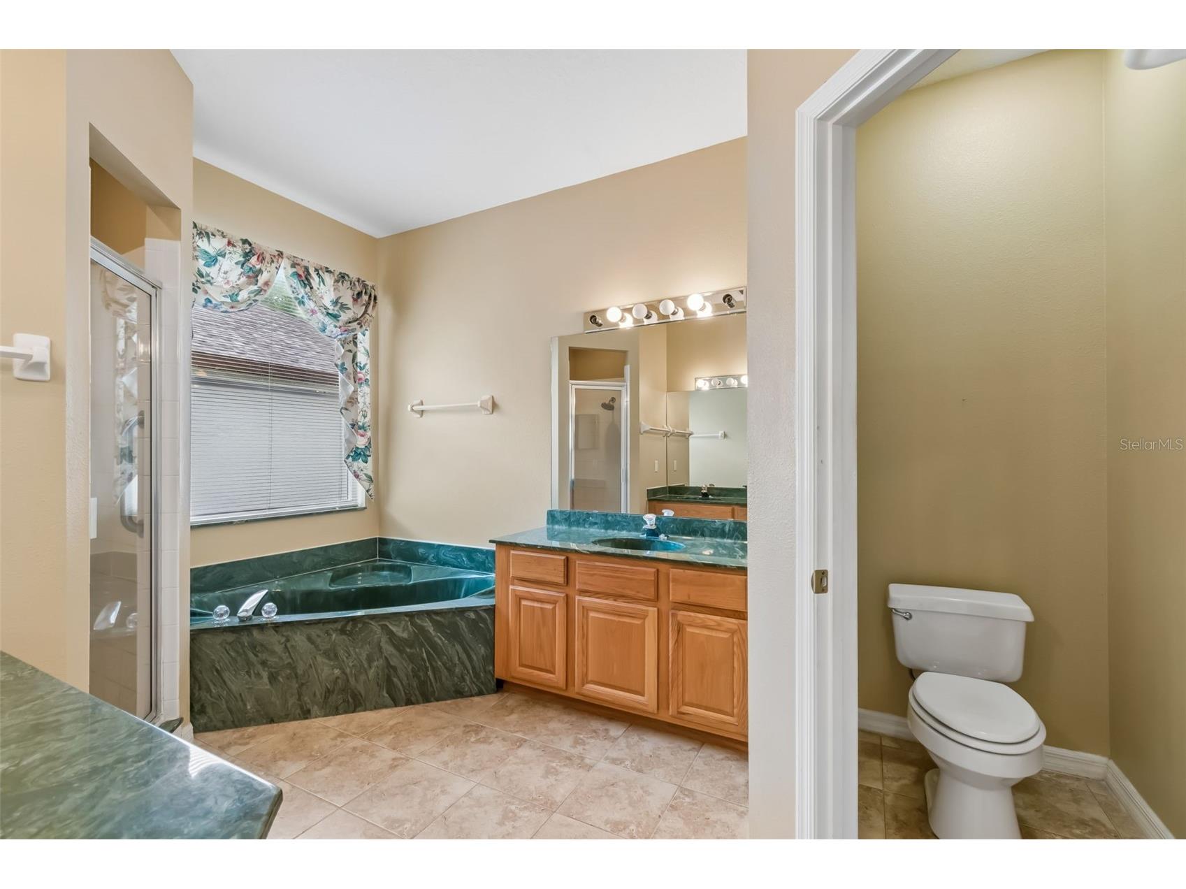 10118 Shortwood Lane Orlando FL 32836 O6393553 image25