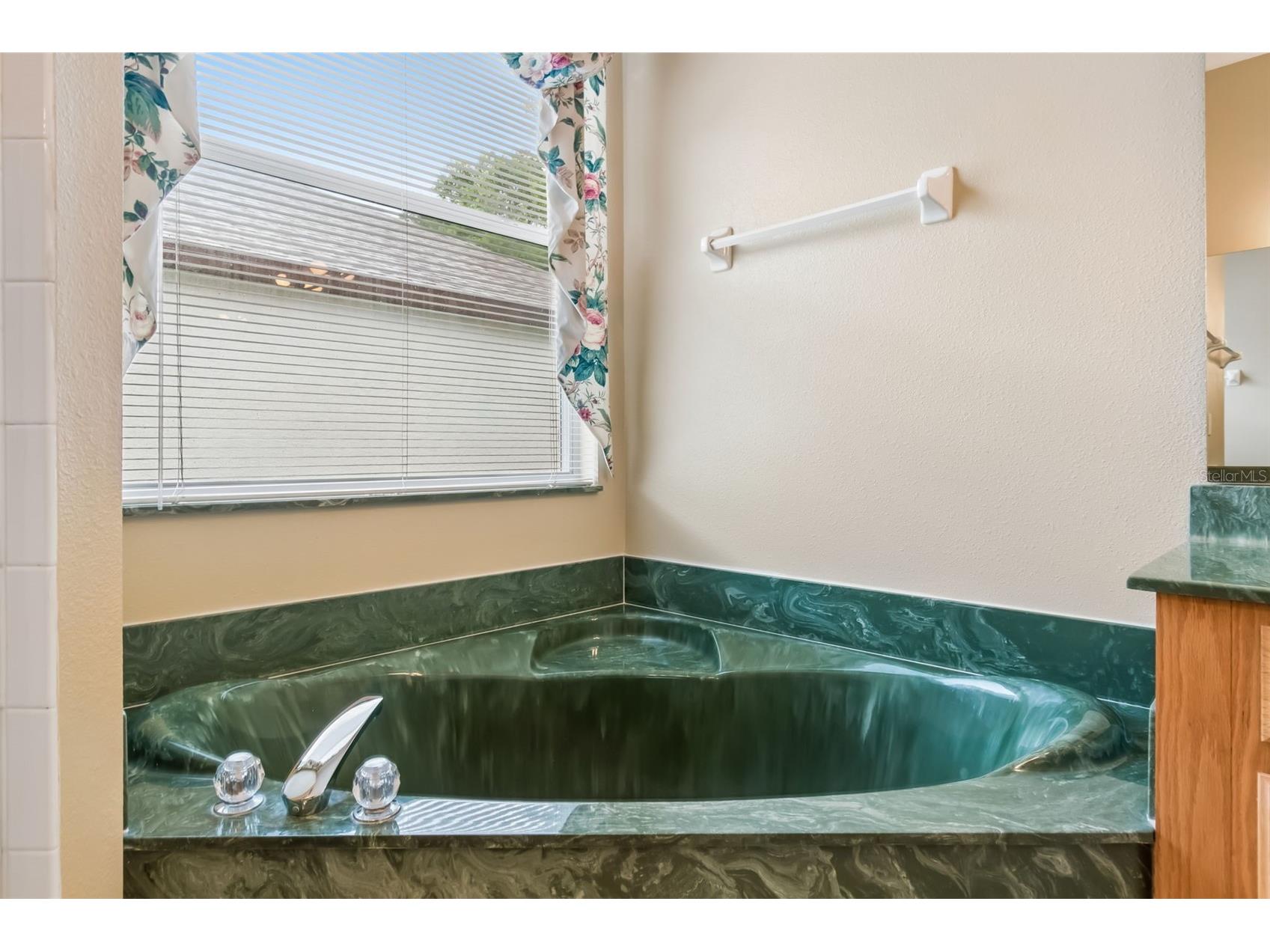 10118 Shortwood Lane Orlando FL 32836 O6393553 image27