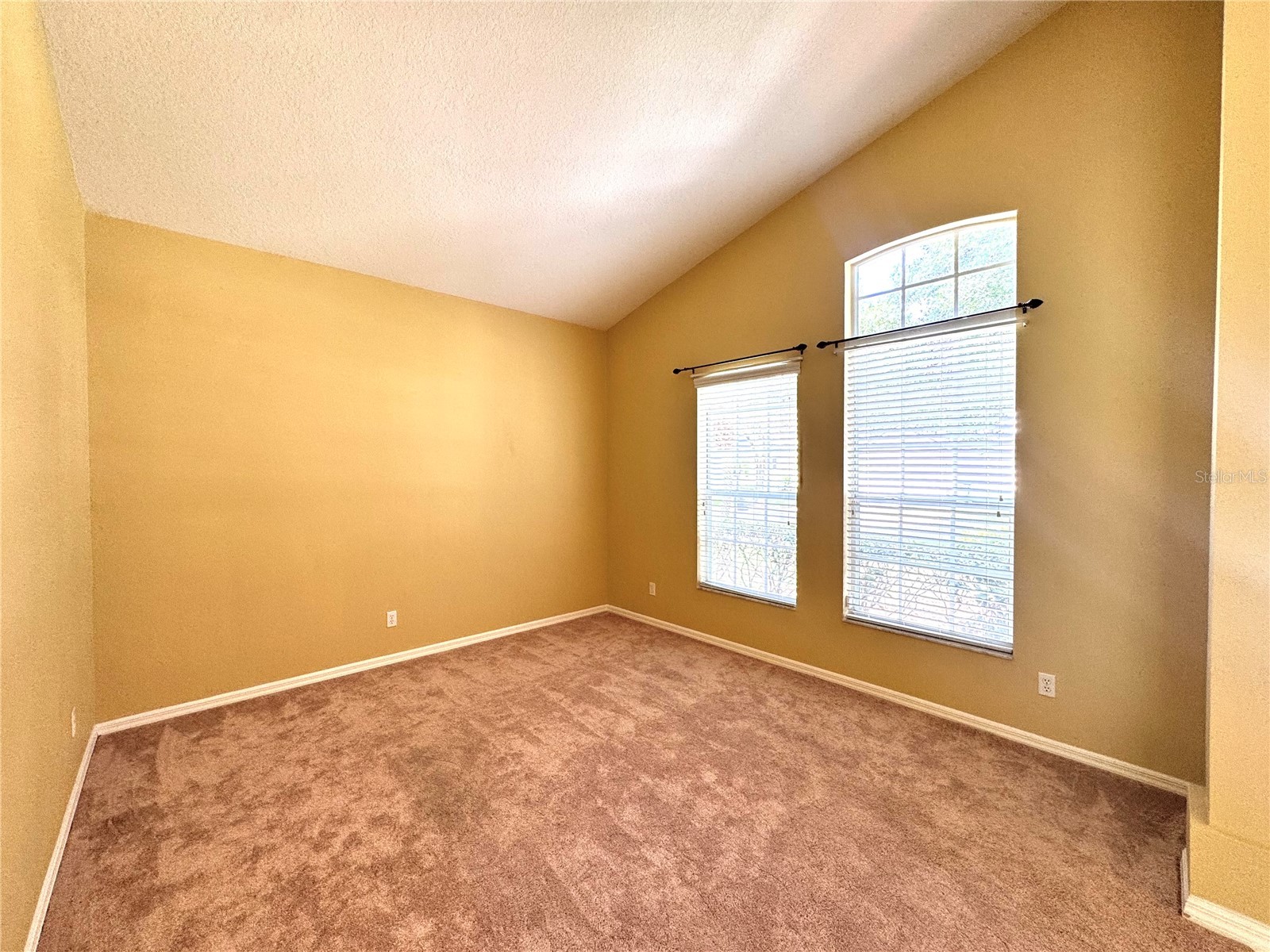 10118 Shortwood Lane Orlando FL 32836 O6412630 image23