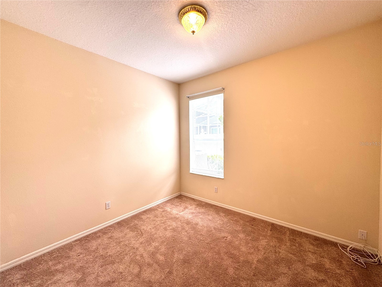 10118 Shortwood Lane Orlando FL 32836 O6412630 image31