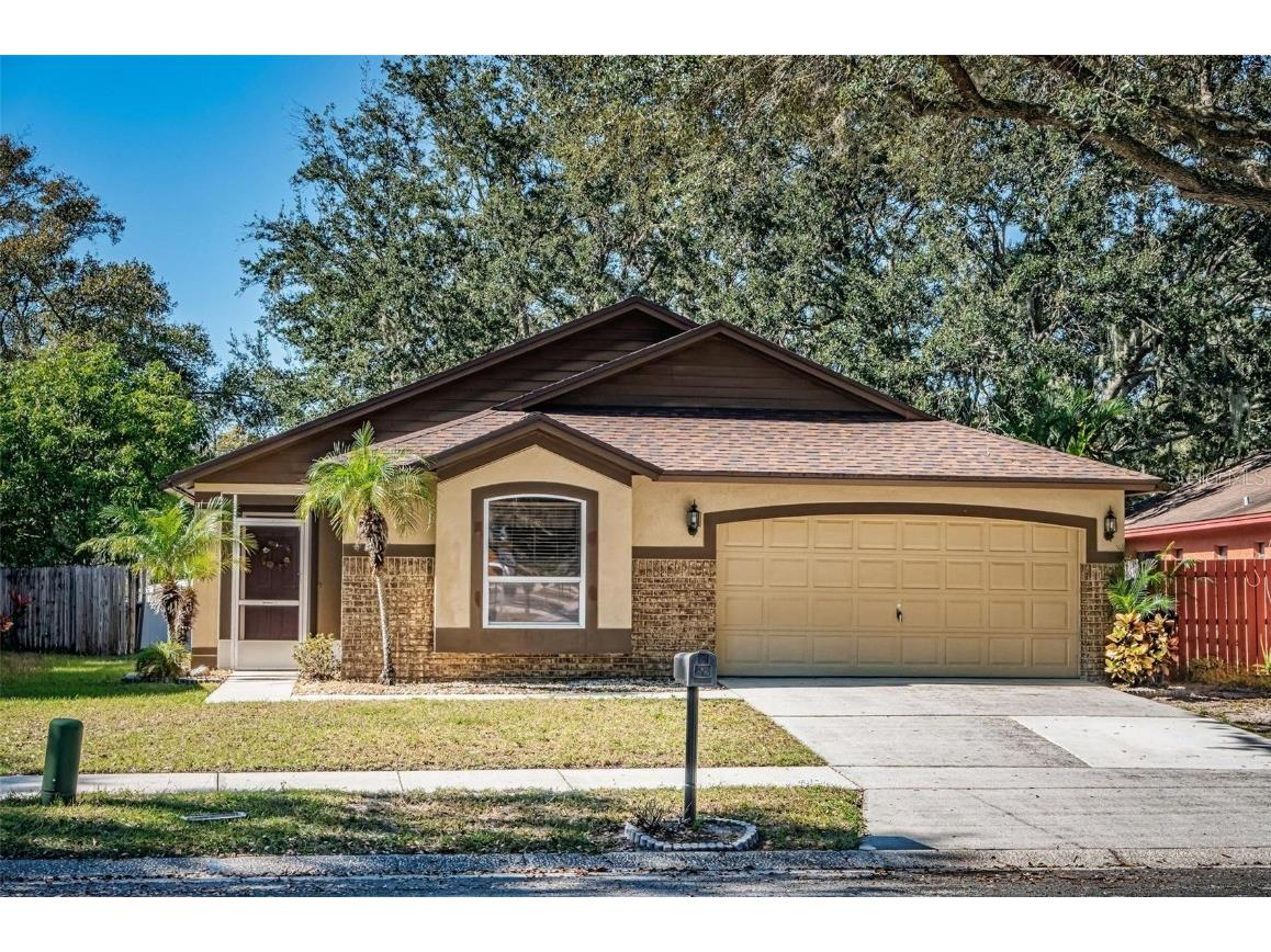 10119 Allenwood Drive Riverview FL 33569 T3498950 image1
