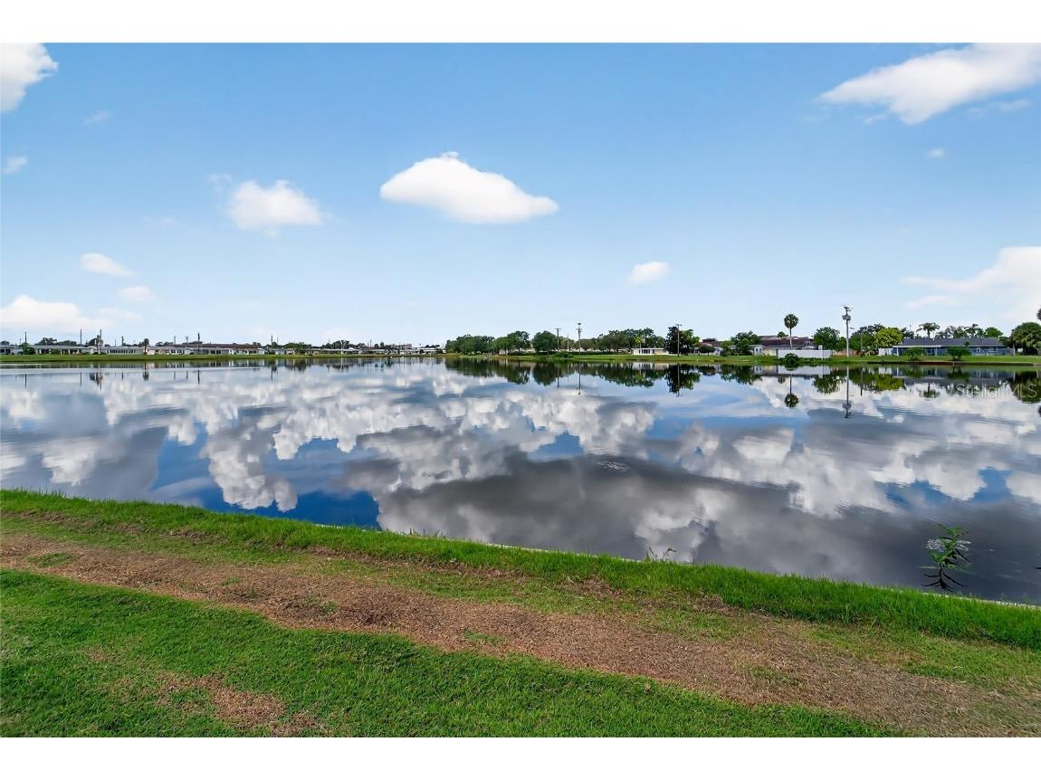 1012 Augusta Drive Sun City Center FL 33573 - Swan Lake TB8410911 image51