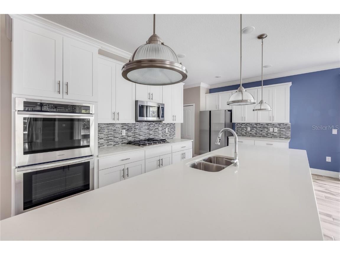 1012 Bradford Ridge Drive Leesburg FL 34748 NS1084459 image14