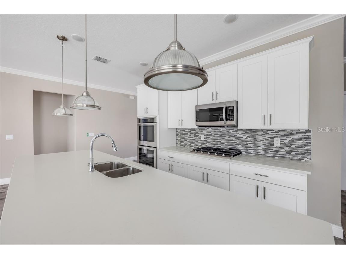 1012 Bradford Ridge Drive Leesburg FL 34748 NS1084459 image15