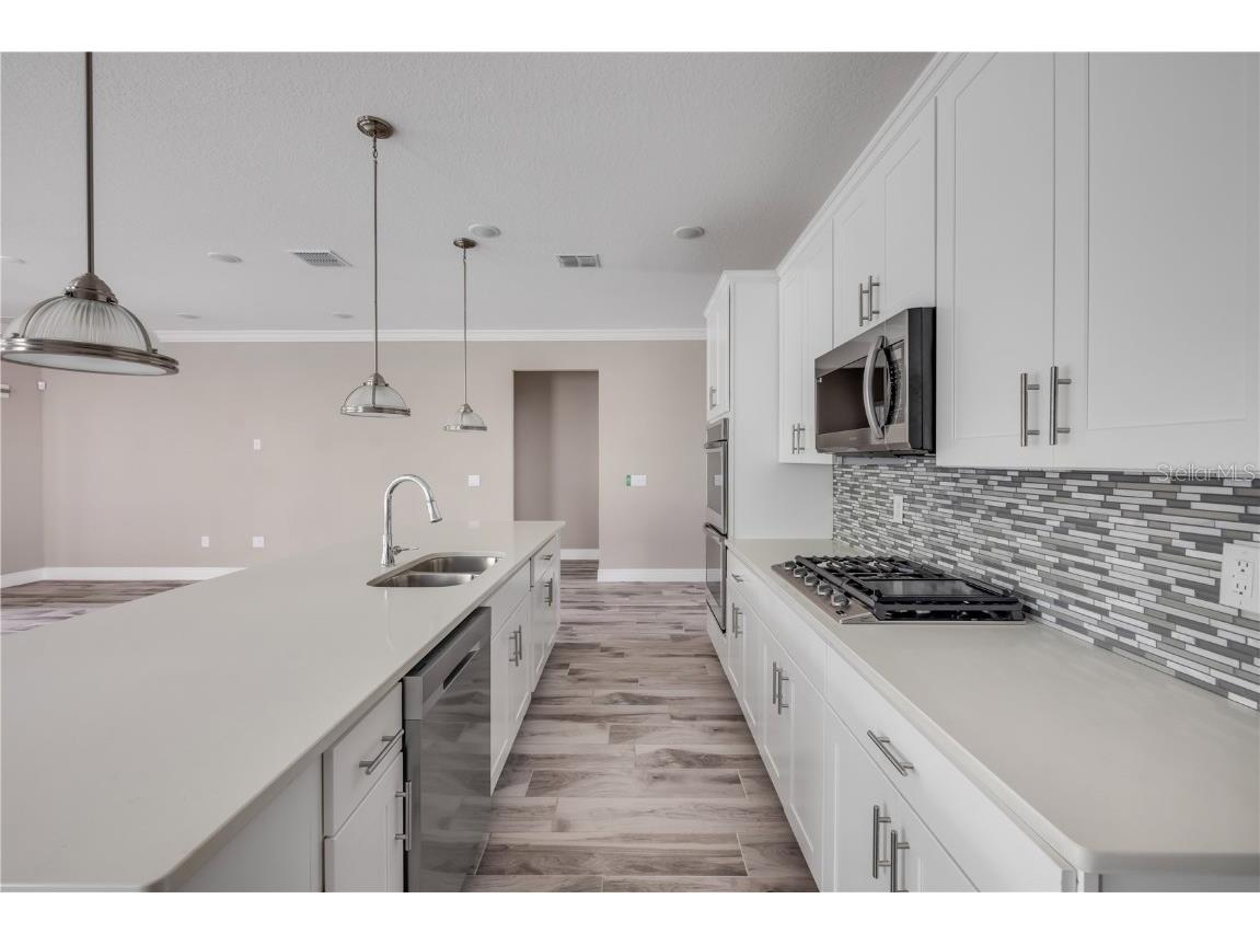 1012 Bradford Ridge Drive Leesburg FL 34748 NS1084459 image18