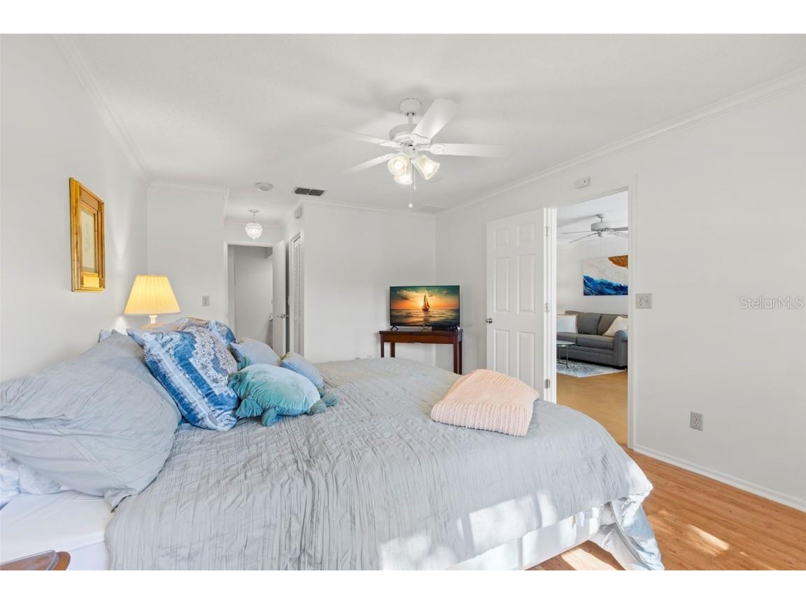 1012 Dunrobin Drive #D Palm Harbor FL 34684 TB8429536 image30