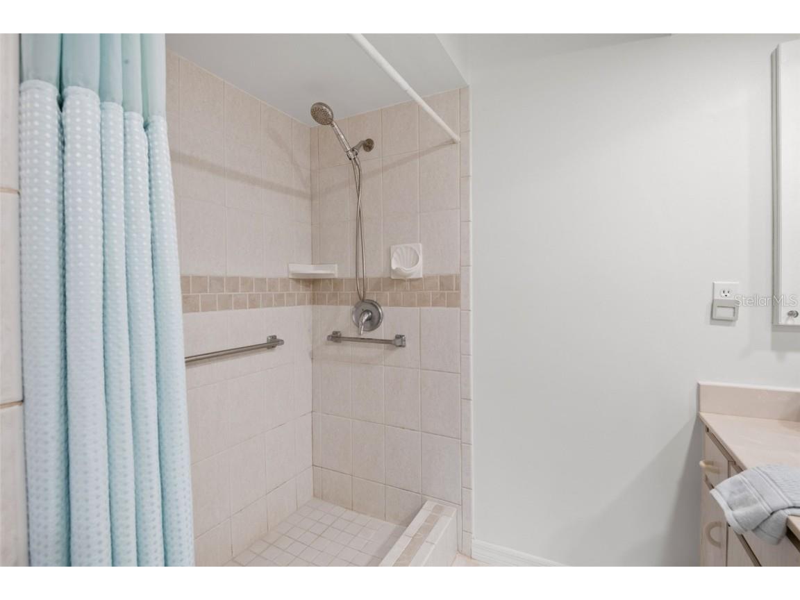 1012 Dunrobin Drive #D Palm Harbor FL 34684 TB8429536 image33