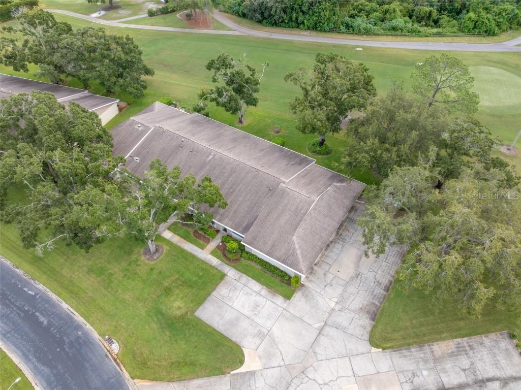 1012 Dunrobin Drive #D Palm Harbor FL 34684 TB8429536 image42