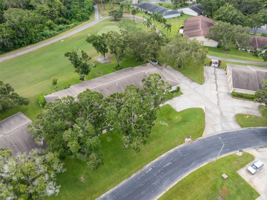 1012 Dunrobin Drive #D Palm Harbor FL 34684 TB8429536 image44