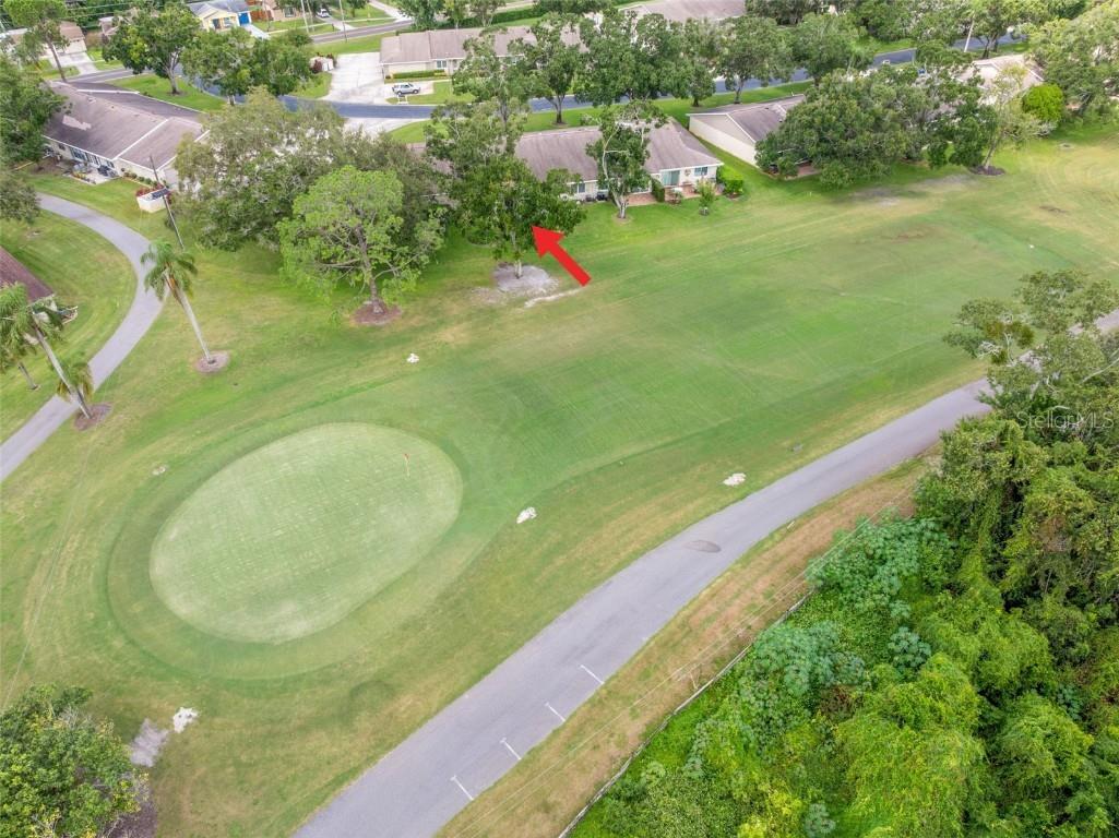 1012 Dunrobin Drive #D Palm Harbor FL 34684 TB8429536 image45