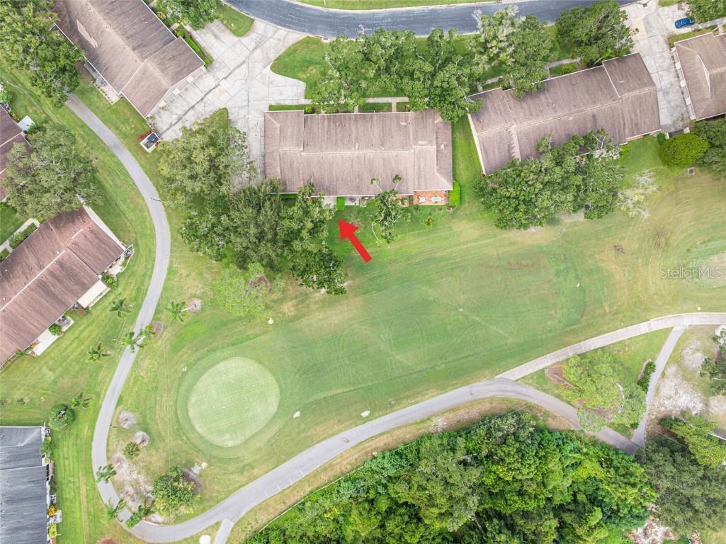 1012 Dunrobin Drive #D Palm Harbor FL 34684 TB8429536 image47