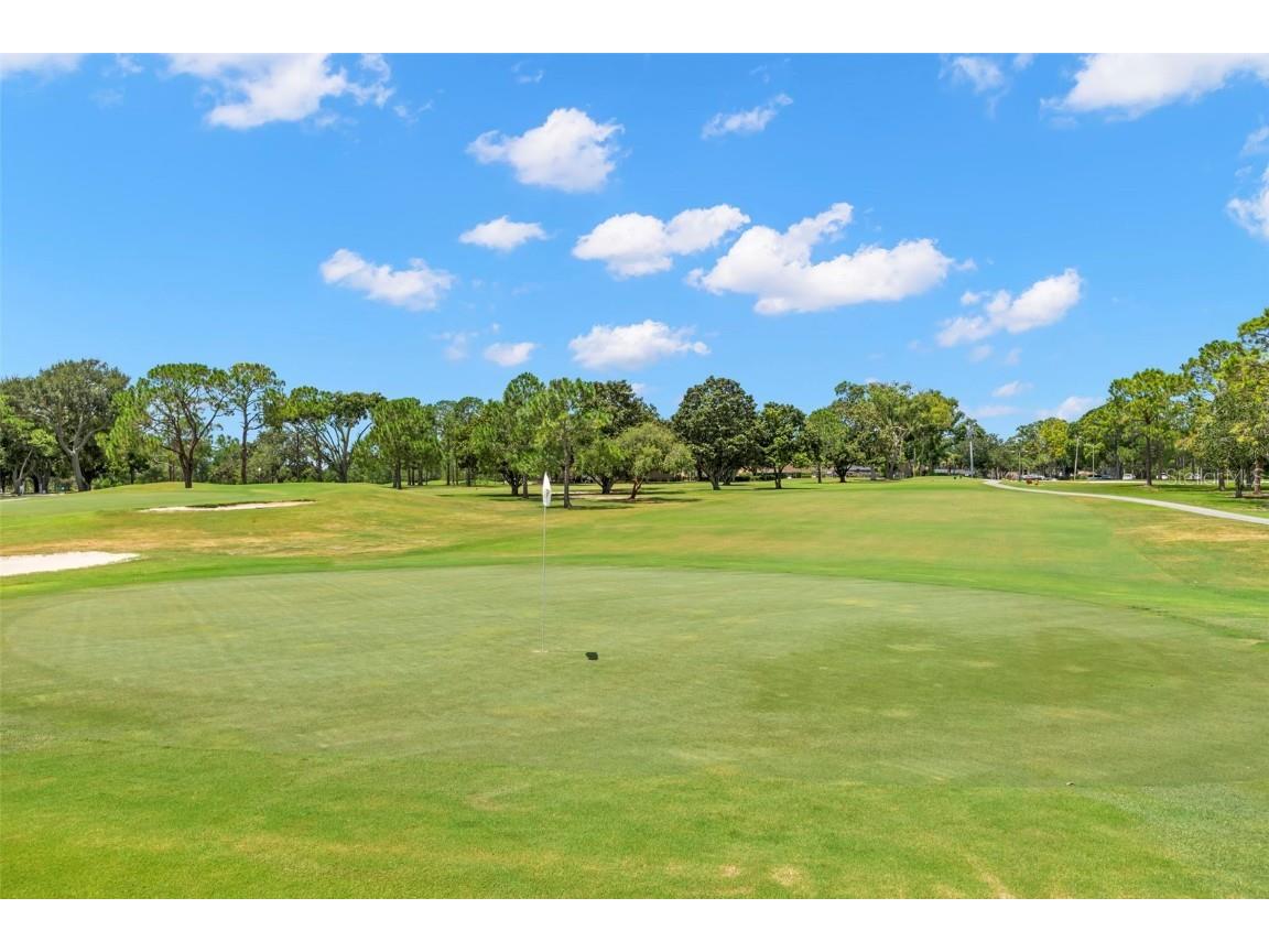 1012 Dunrobin Drive #D Palm Harbor FL 34684 TB8429536 image54