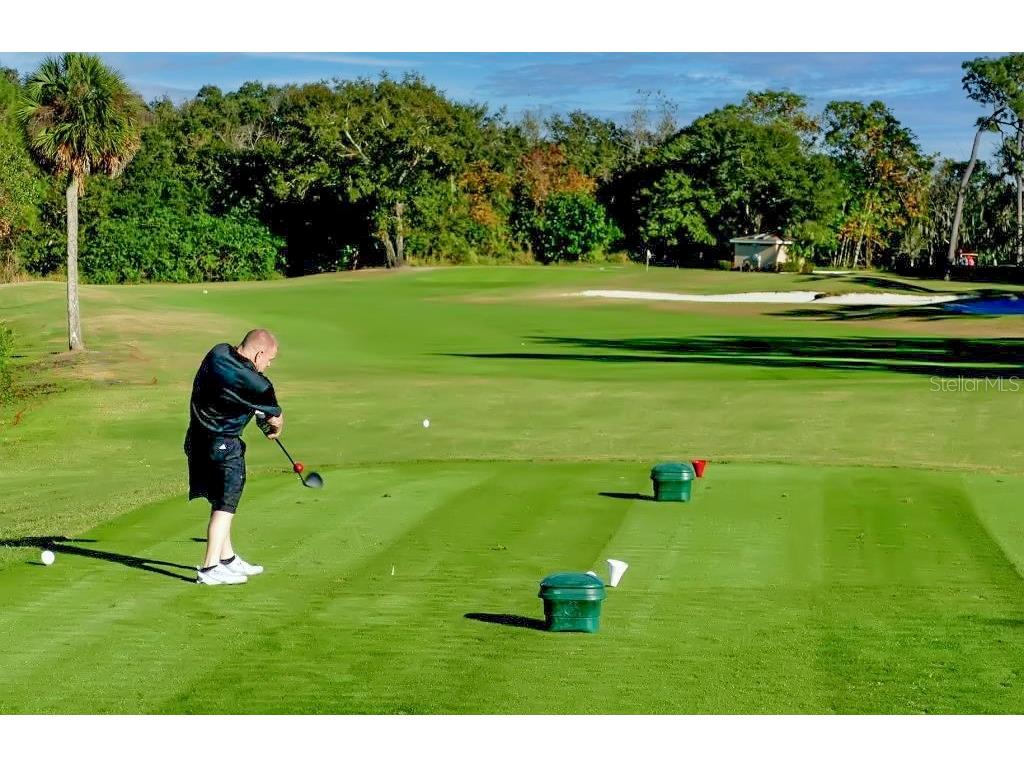 1012 Dunrobin Drive #D Palm Harbor FL 34684 TB8429536 image55