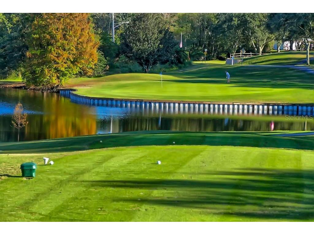 1012 Dunrobin Drive #D Palm Harbor FL 34684 TB8429536 image56