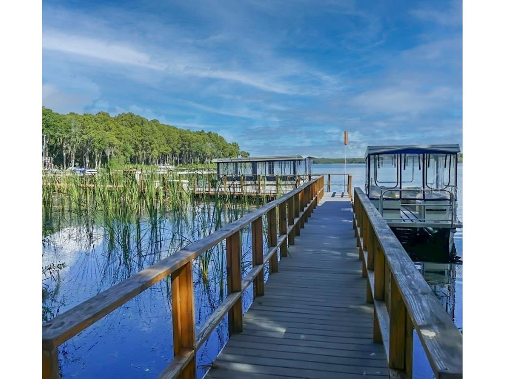 1012 Dunrobin Drive #D Palm Harbor FL 34684 TB8429536 image57