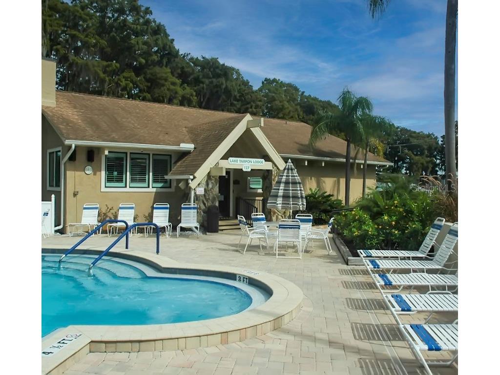 1012 Dunrobin Drive #D Palm Harbor FL 34684 TB8429536 image58