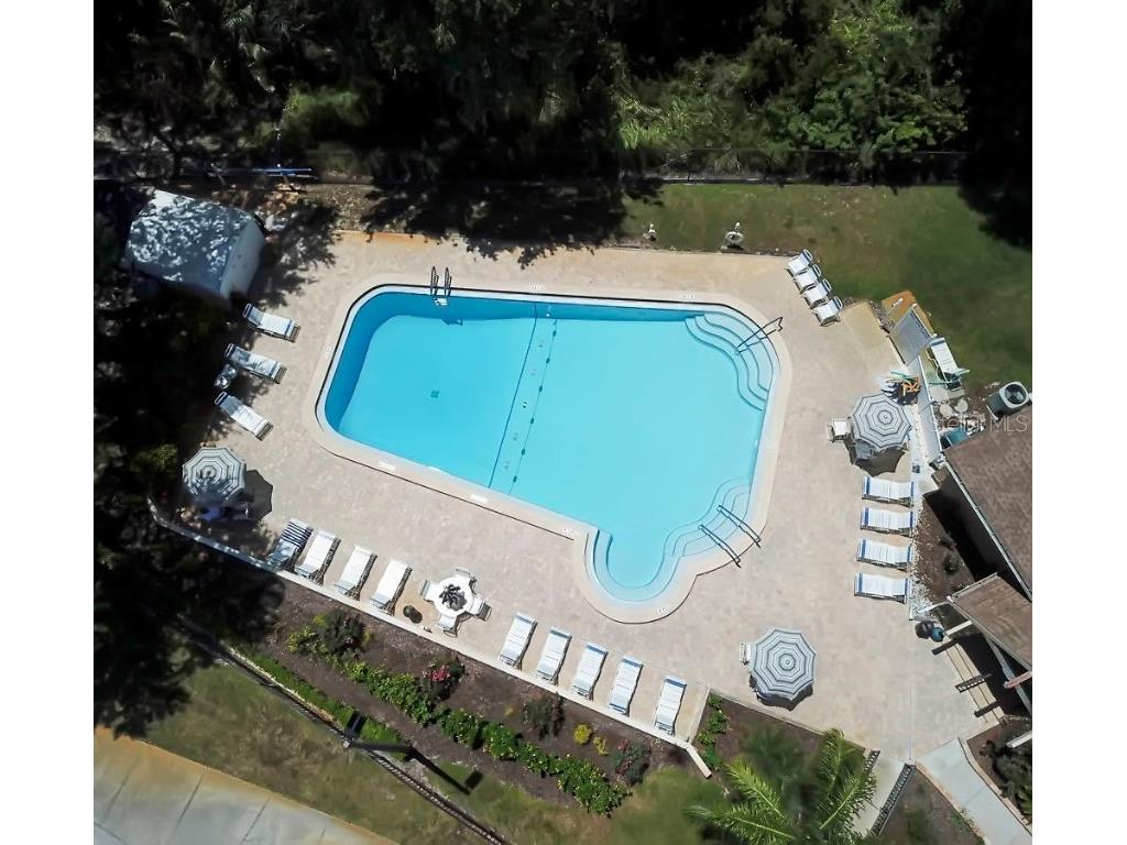 1012 Dunrobin Drive #D Palm Harbor FL 34684 TB8429536 image59